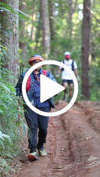 BIB:  <button type="button" onclick="openModal(26569967)" class="btn btn-primary btn-sm float-right" data-toggle="modal" data-target=".modal-high-quality">
                <i class="fa fa-download"></i> Download
                </button>